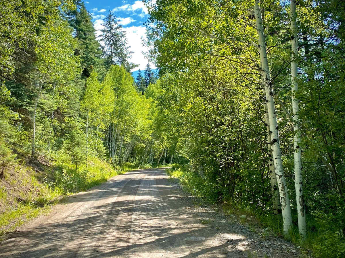 Fawn Gulch-Fr Rd 666 trail photo