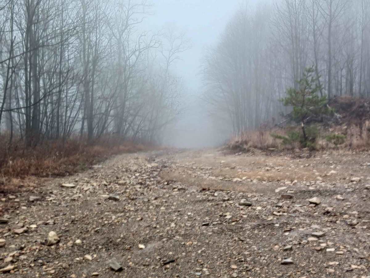 Boomerang - Rock Run Recreation Area photo 2