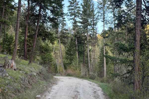 Harper Lake Road