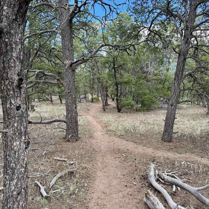 Near CDT: New Mexico Section 21