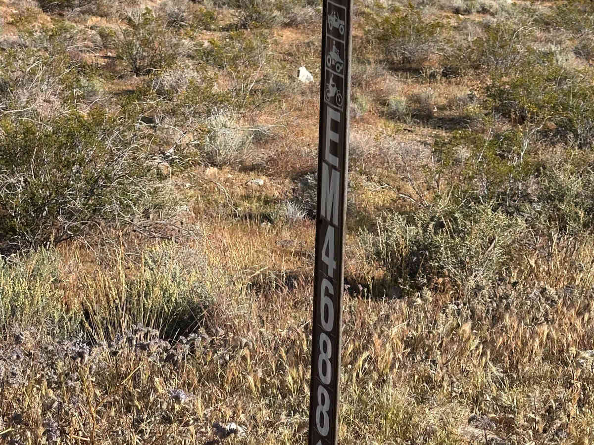 Broken Spur photo 4