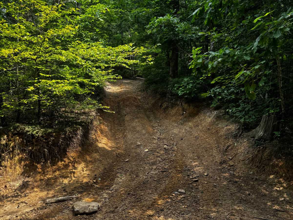 Trail 8A photo 6