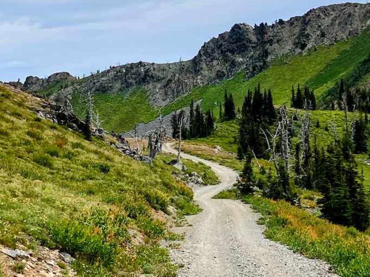 Black Lake trail photo