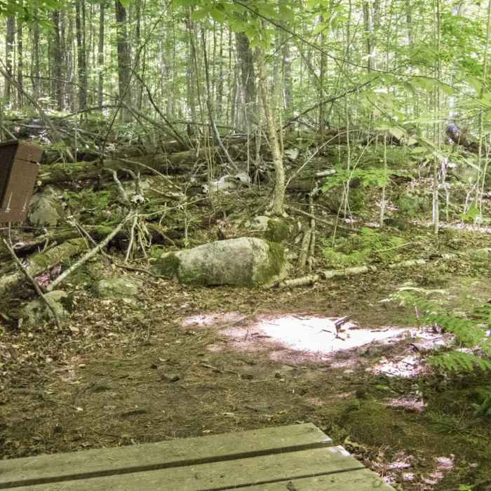 Near Poke-O-Moonshine Fire Tower Near Poke-O-Moonshine Fire Tower