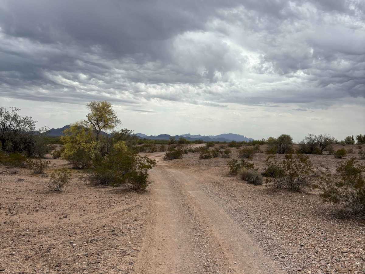 LP227 photo 4