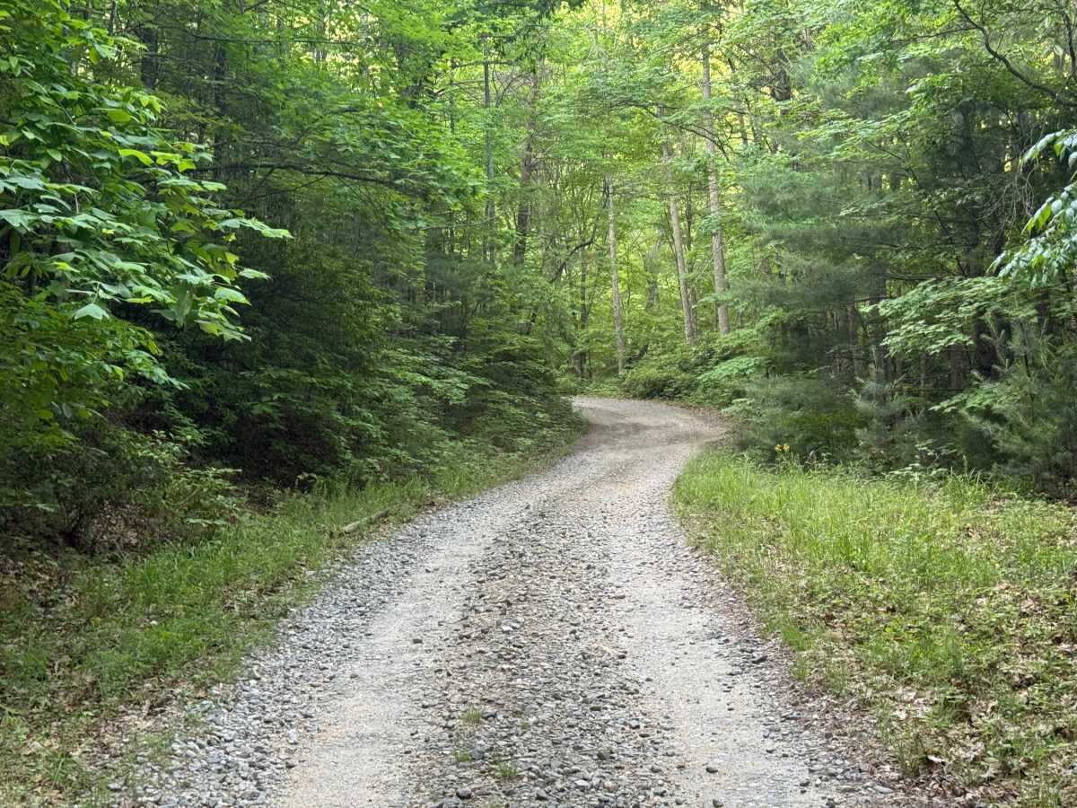 Beasley Knob North Entrance  - FS 93 photo 2