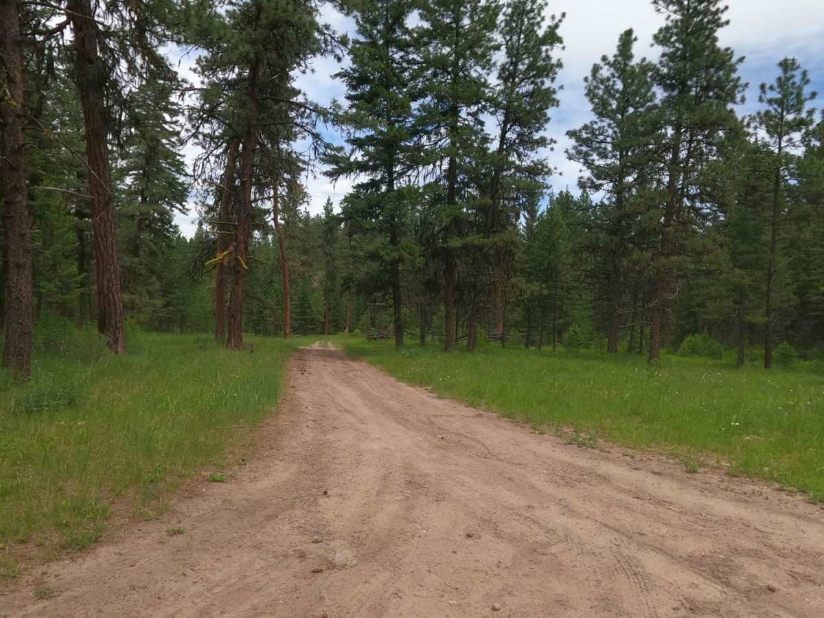 Corral Creek Rd 2146 photo 2