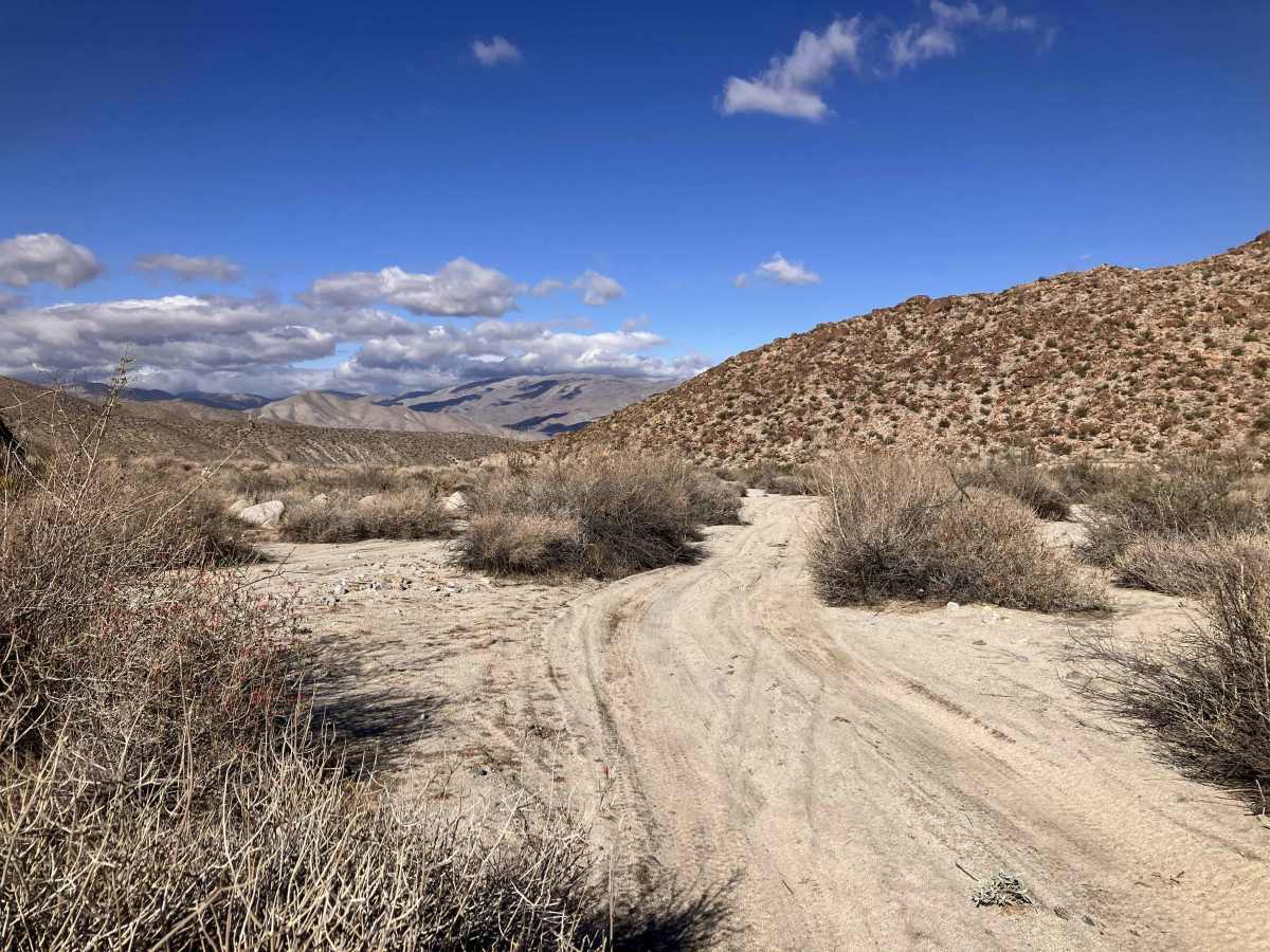 Pinyon Canyon photo 6