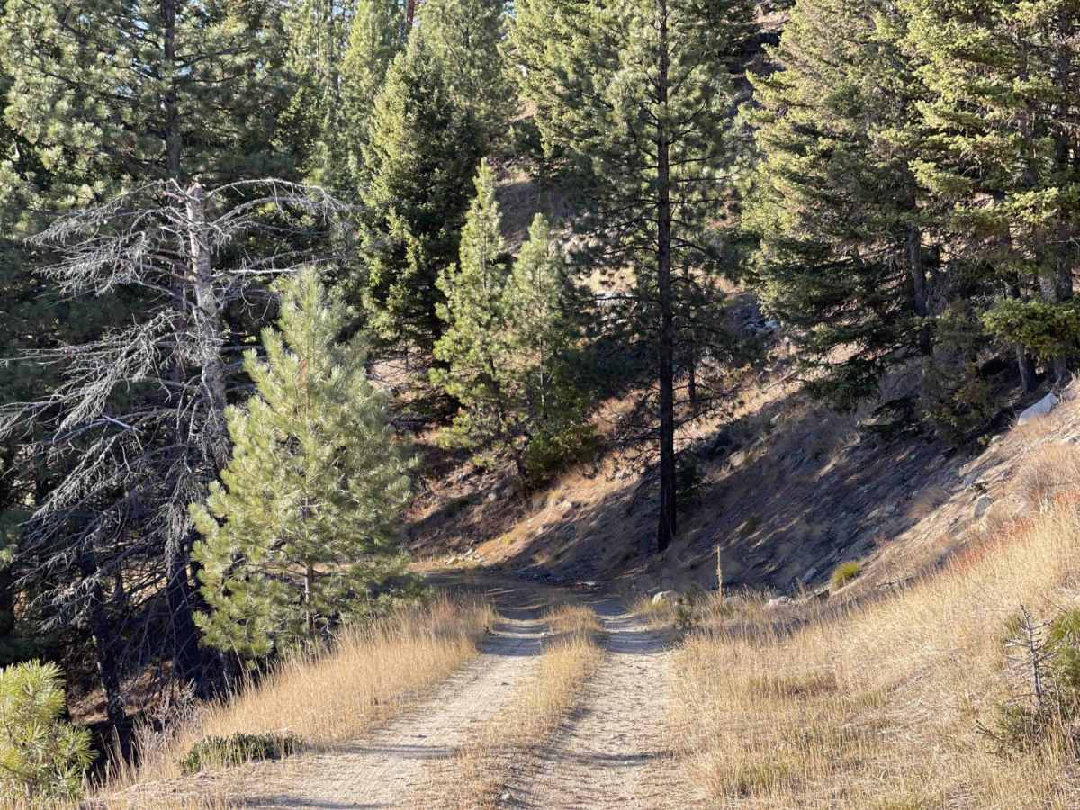Little Boulder Side Trail photo 6