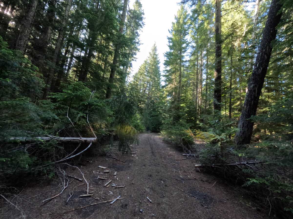 Klingers Camp Road - FS 3530240 photo 4