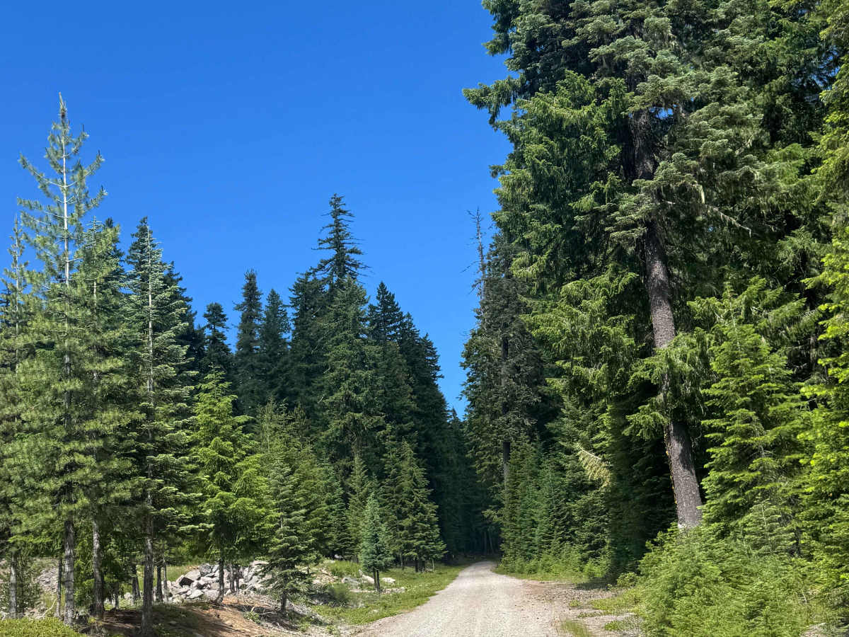FS 6535 trail photo