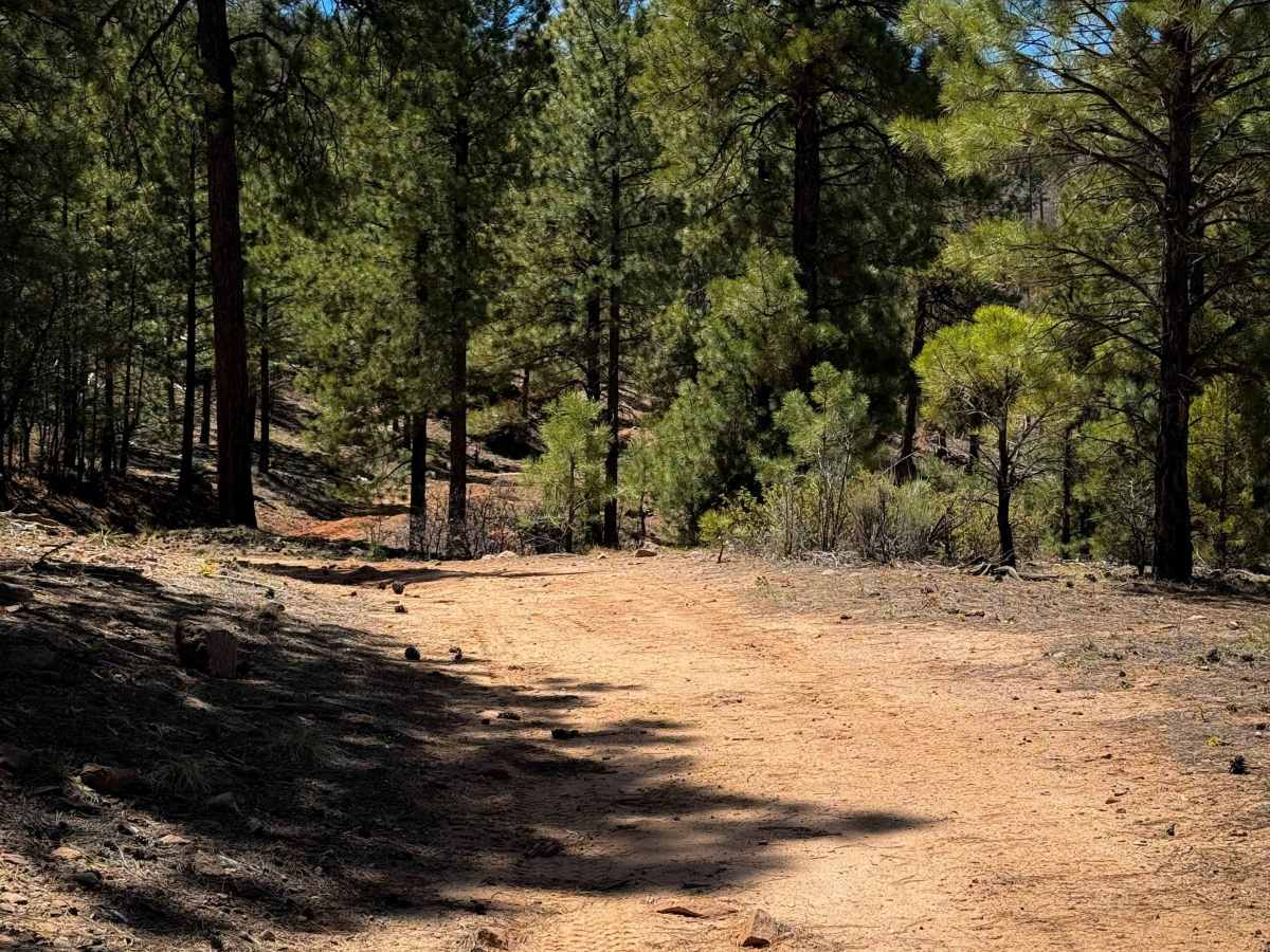 Prior trail photo