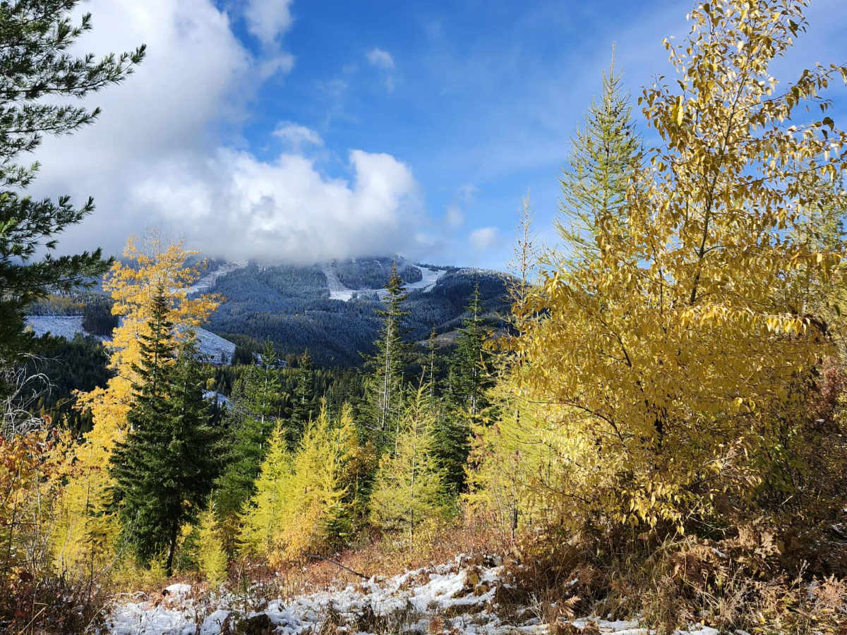 Lower Tripps trail photo