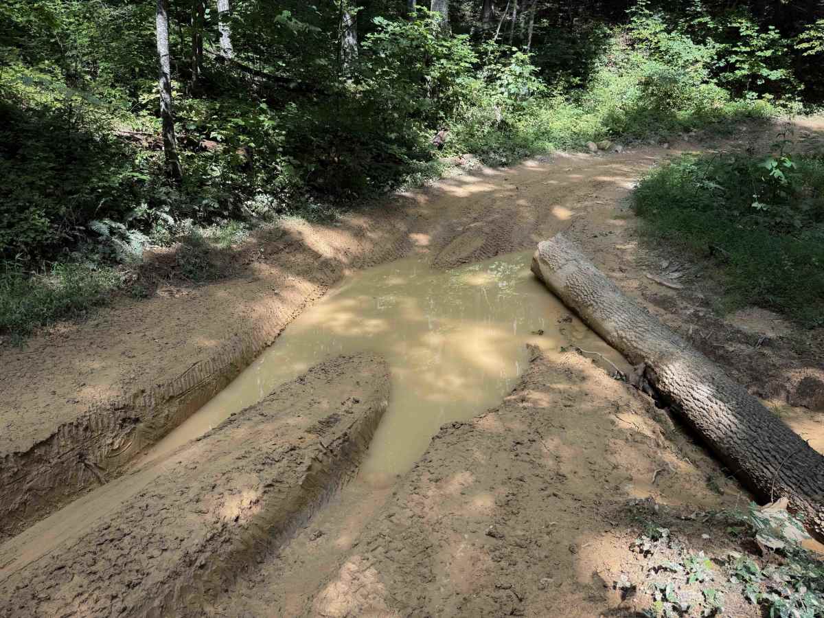 Broyles Branch Trail 17  photo 2