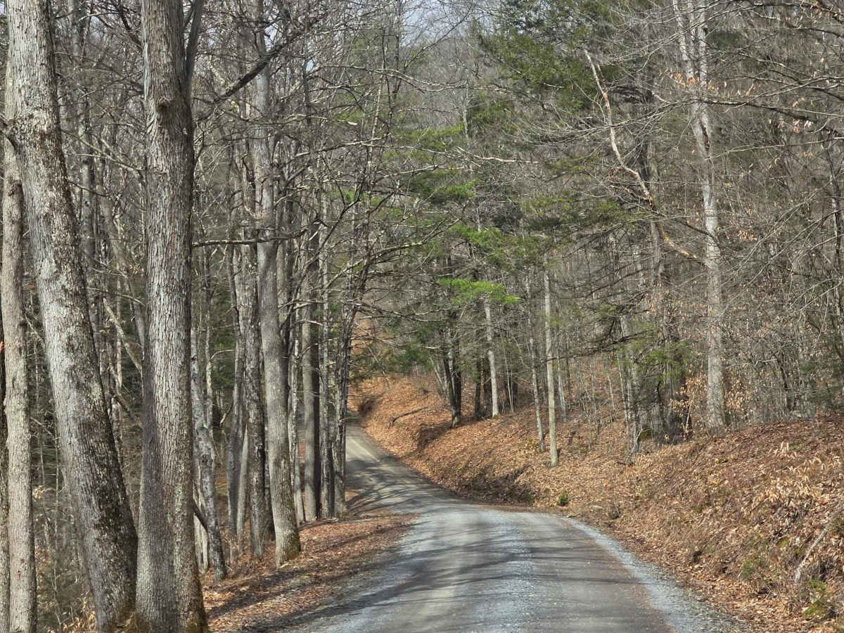 Straight Run Road photo 5