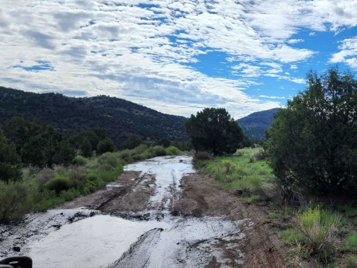 La Garita photo 3