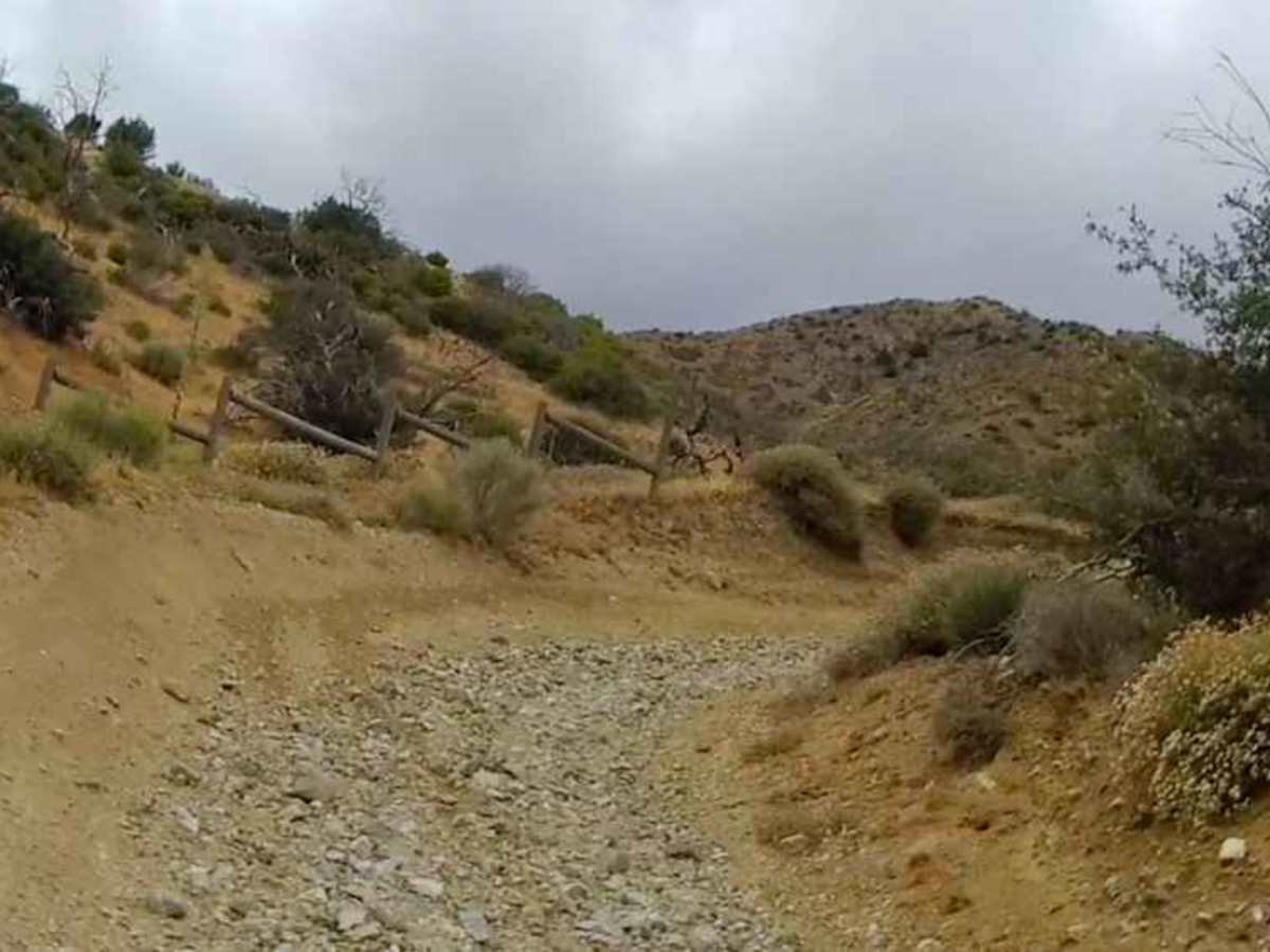 East Frazier Trail photo 4