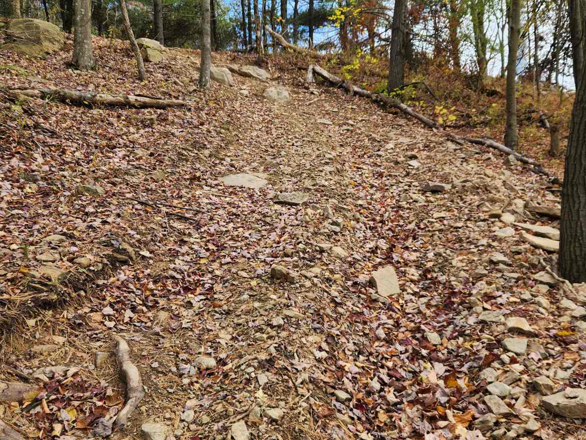 OHV 5R - Rock Run Recreation Area photo 4