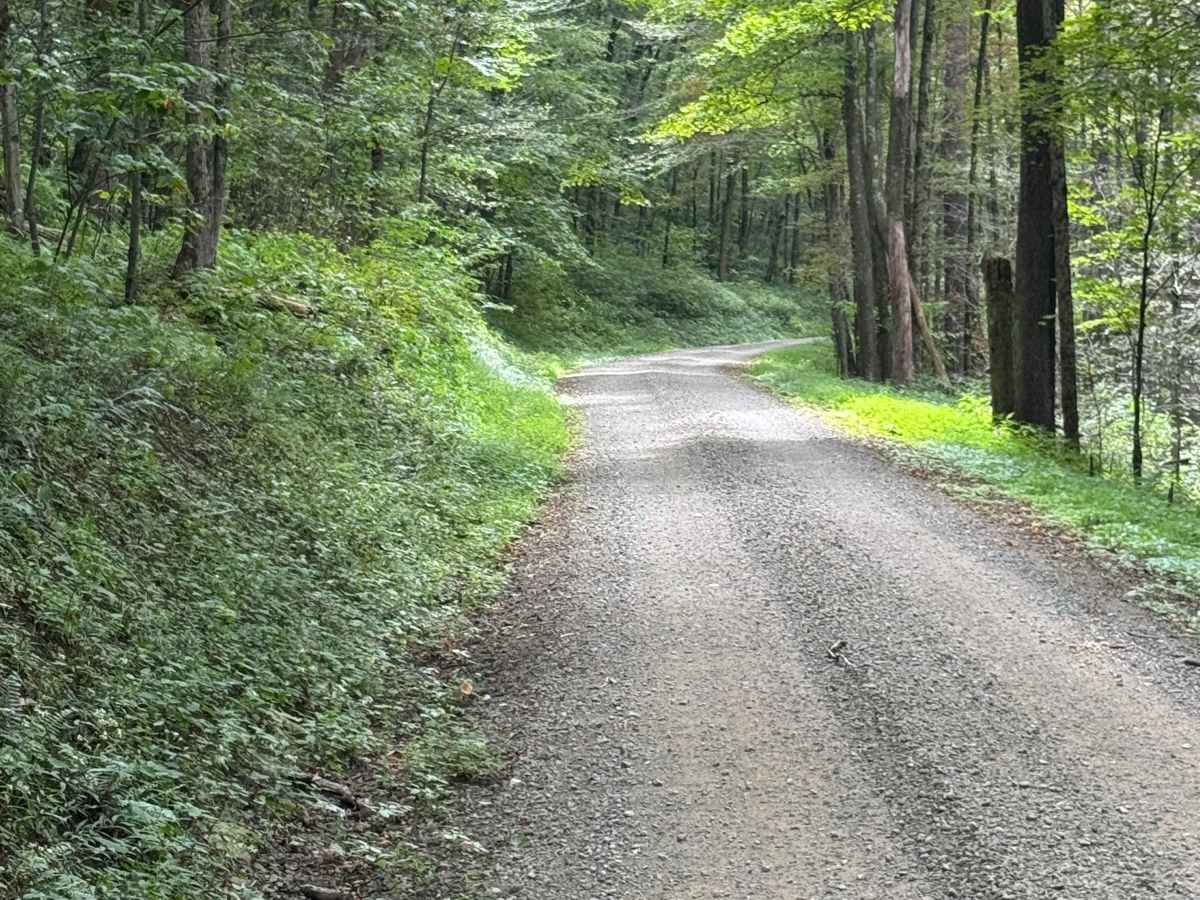 Mill Creek Road photo 4