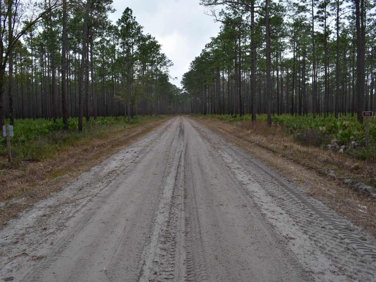 FR 775 photo 6