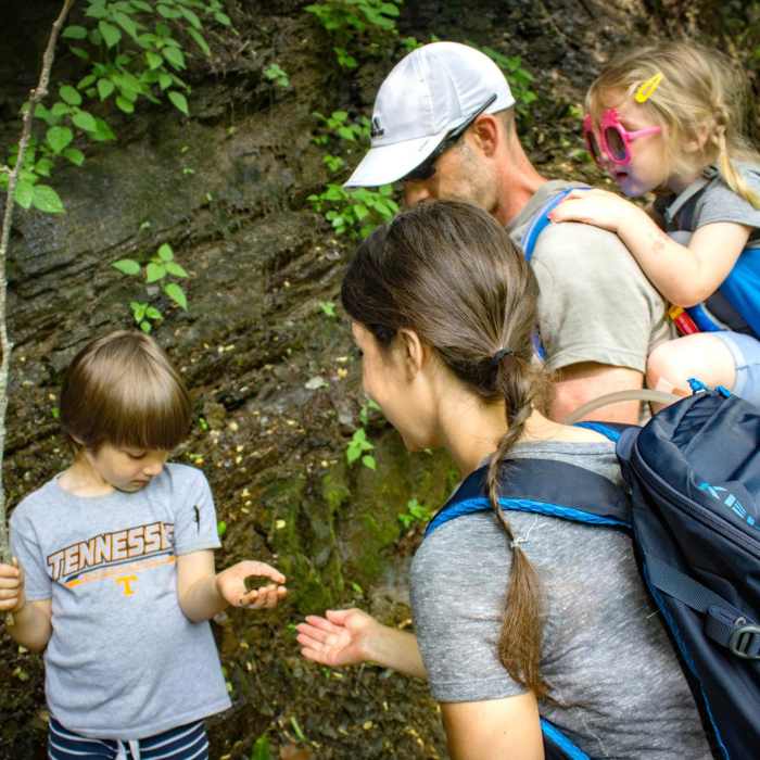 Near Little River Trail Near Little River Trail