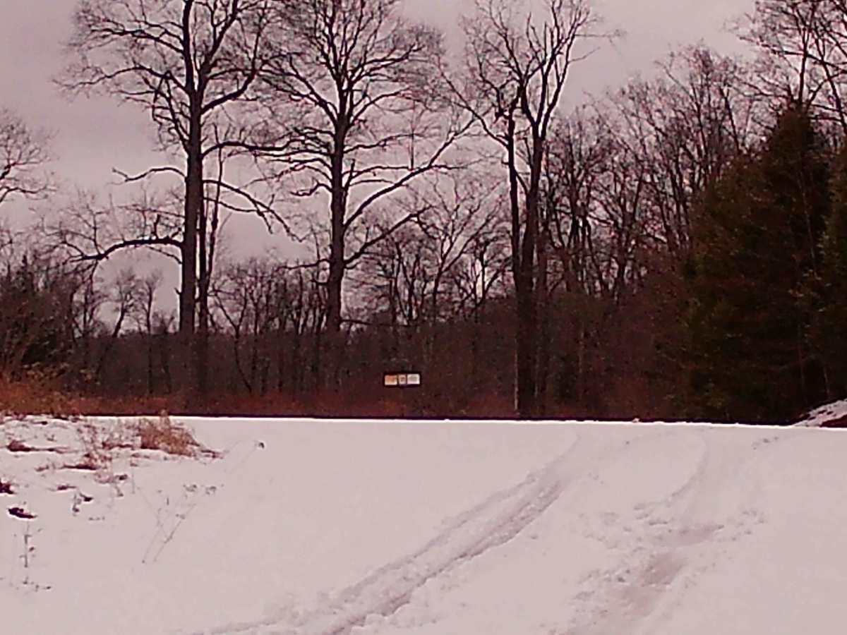New Pond Road photo 3