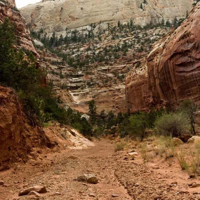 Most of Sheets Gulch is very rocky and sandy Near Sheets Gulch
