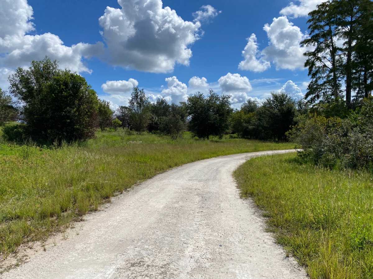 Riddick Grove Road photo 6