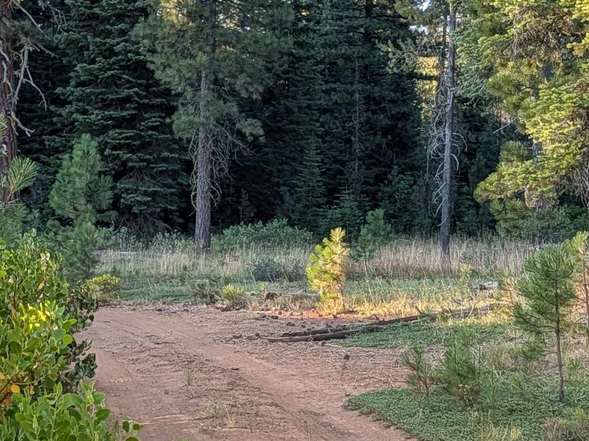 White Deer Lake - FS 41N40 photo 2