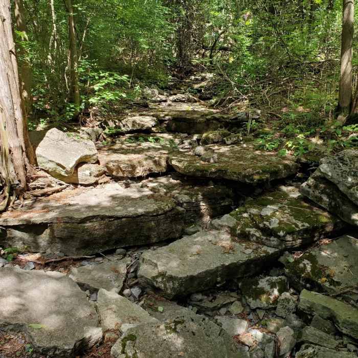 Near Parrott's Bay Loop