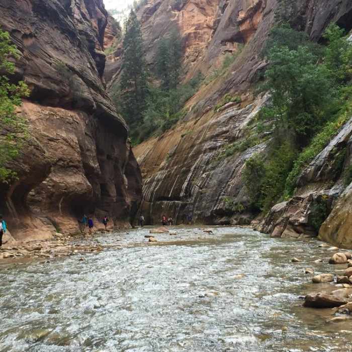 Near The Narrows: Top Down Near The Narrows: Top Down