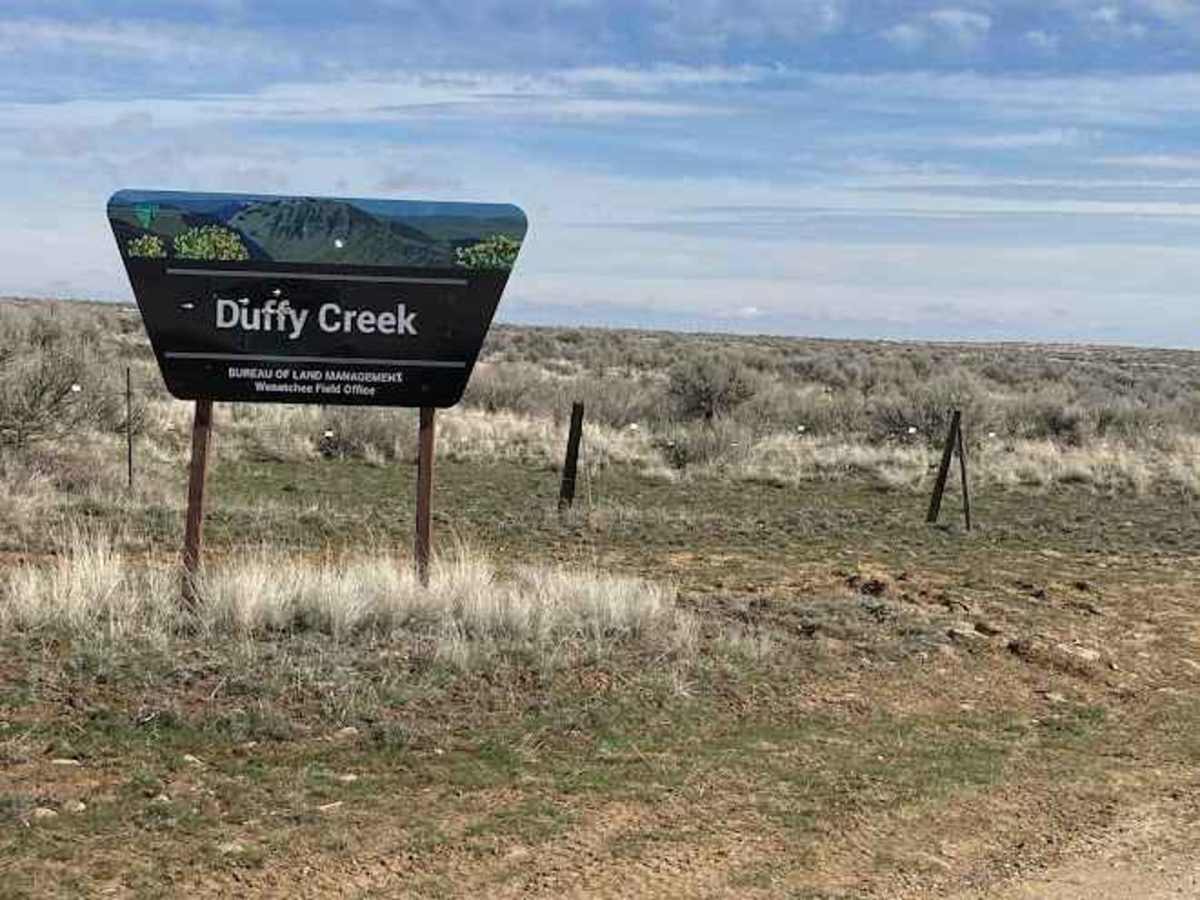 Duffy Creek Overlook photo 2