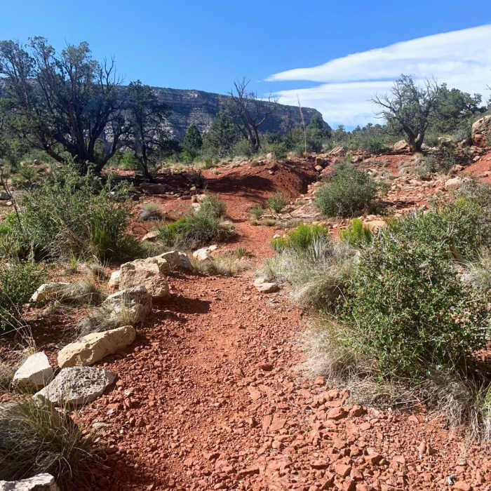 Near Hermit's Rest to Waldron