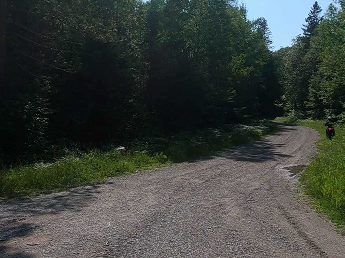 Sturgeon River Road - FSR 2229 photo 5