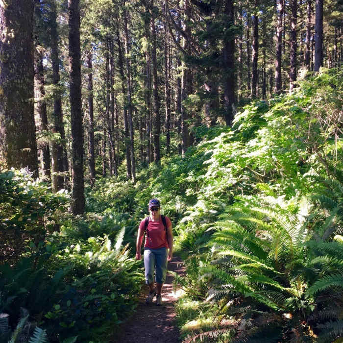 The Cape Alava Trail traverses dense coastal forests. Near Cape Alava Trail
