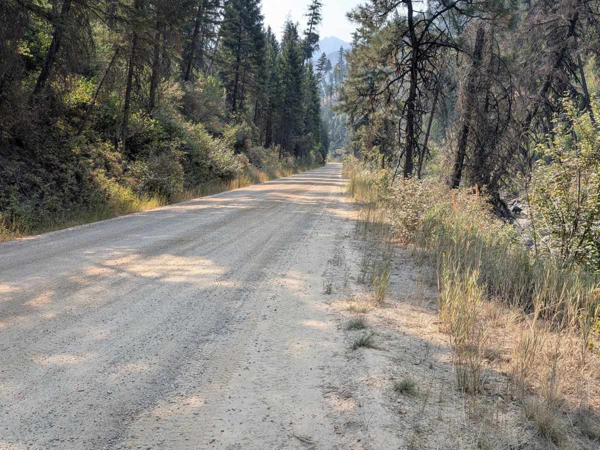 East Fork Road - FS 412 trail photo
