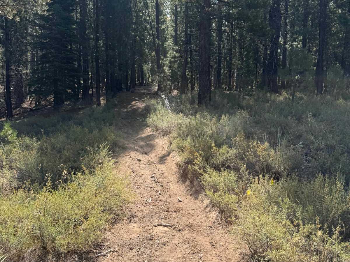 17E20 Split Connector trail photo