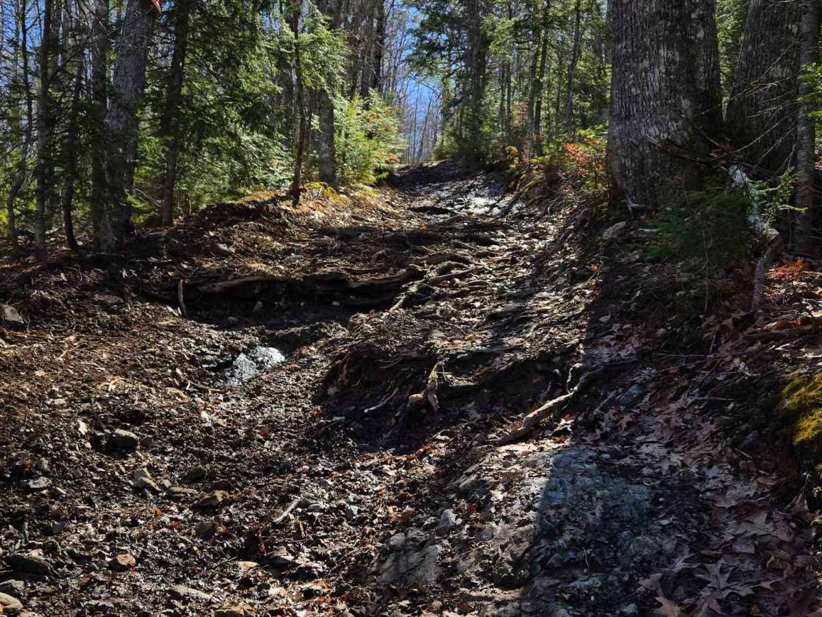 Heart Attack Hill trail photo
