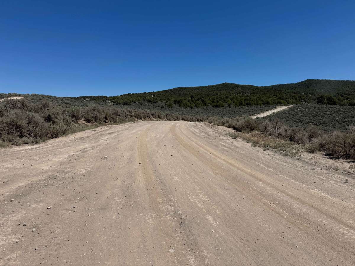 Trail Gulch Road 6 photo 3