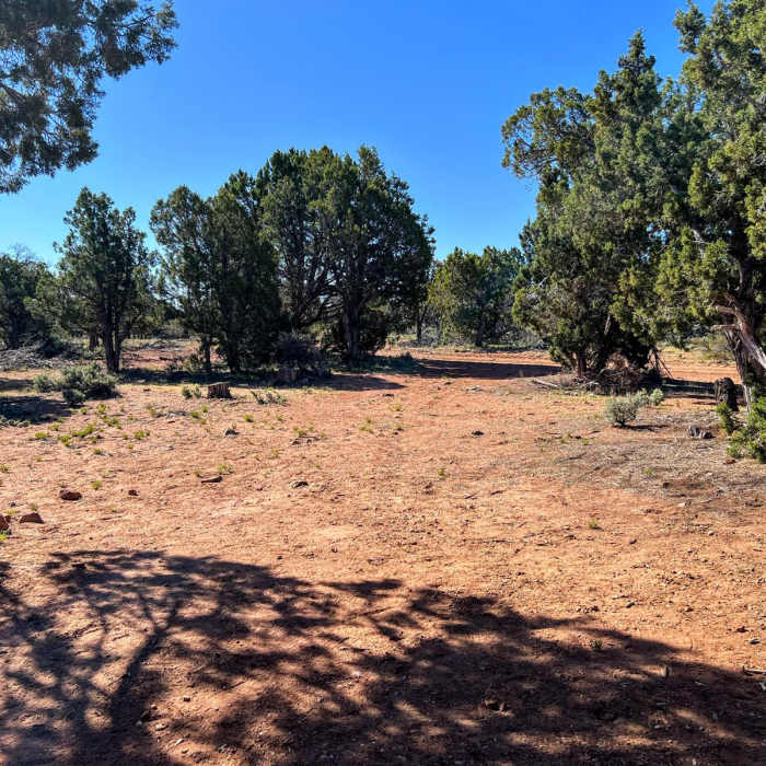 Near Arizona Trail Passage 43: Buckskin Mountain