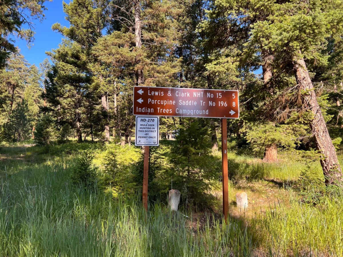 Porcupine Saddle photo 3