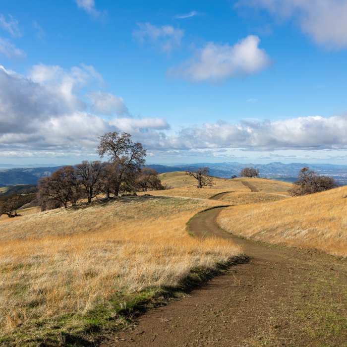 Near Rowell Ridge Trail