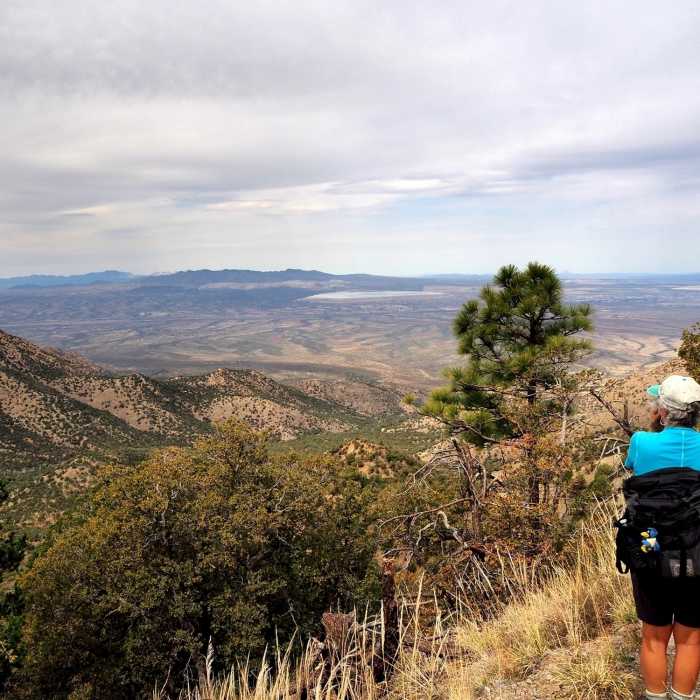 Near Bog Springs Trail #156