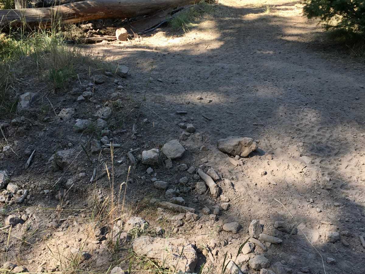 Lookout Point South ATV Trail photo 4