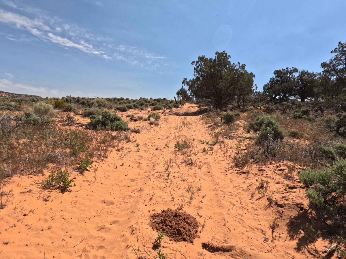 BLM 33A trail photo