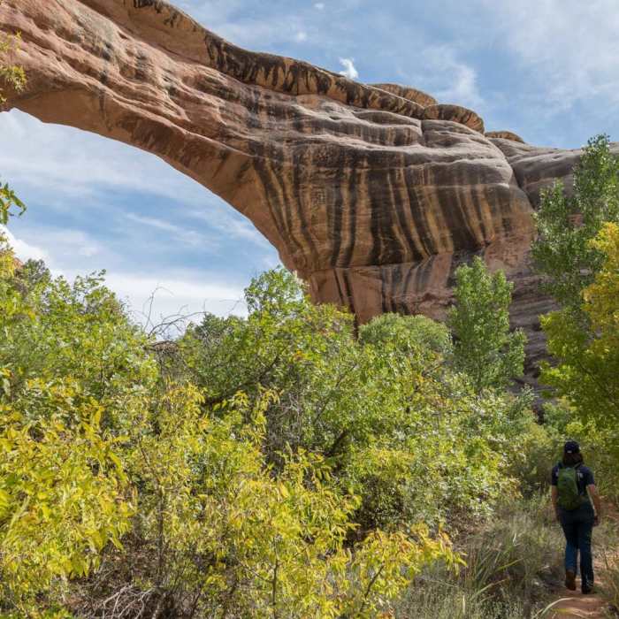 Near Horse Collar Ruin