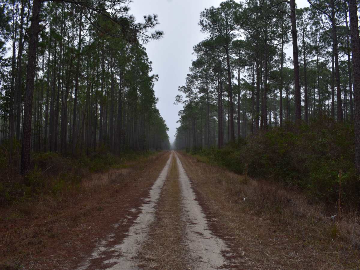 Battlefield Trail photo 6