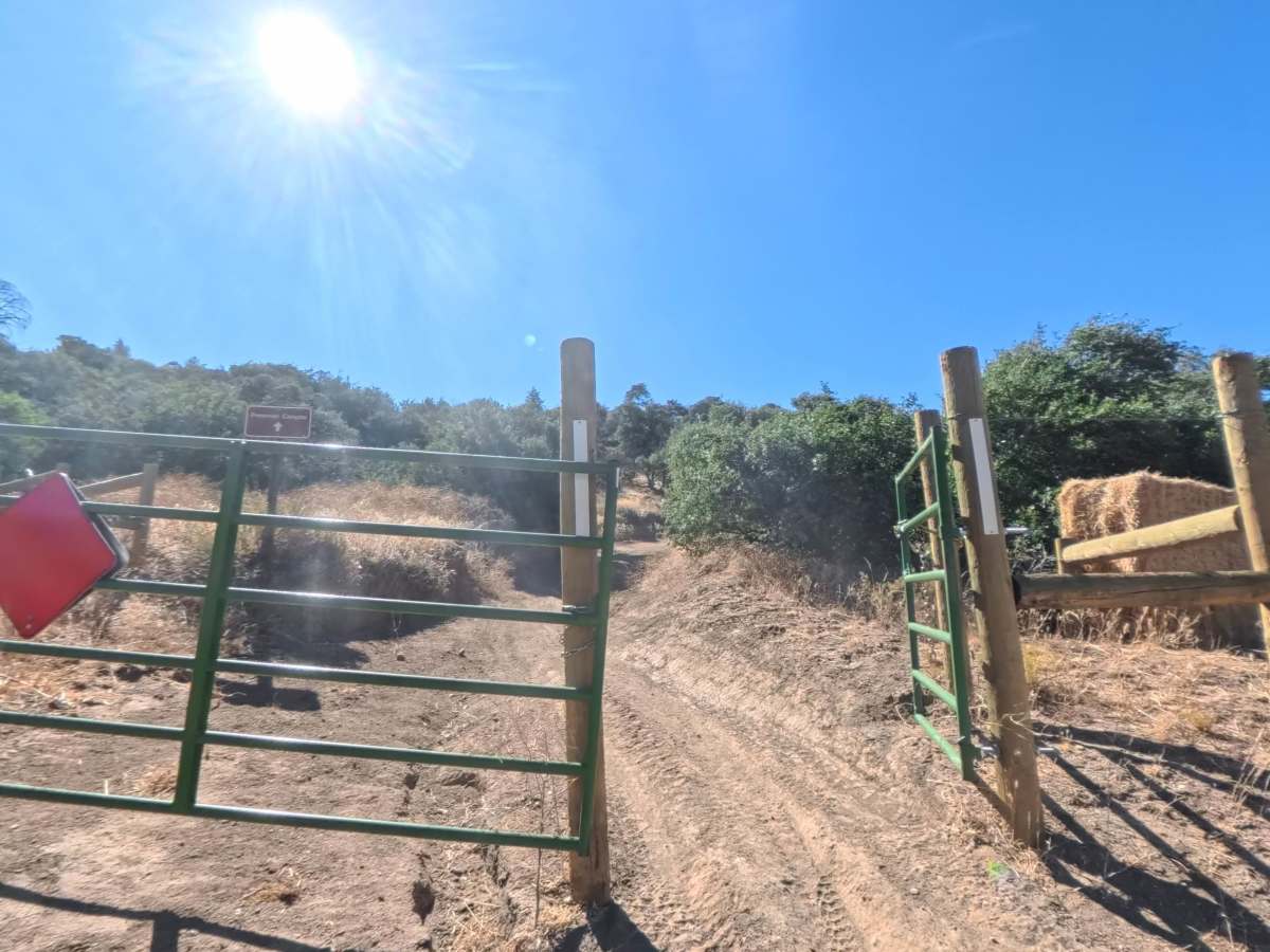Vics Cat Trail trail photo