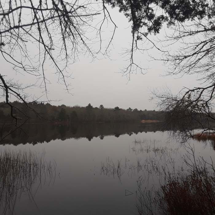 Reaching the destination, Schoolhouse Pond. Near School House Pond