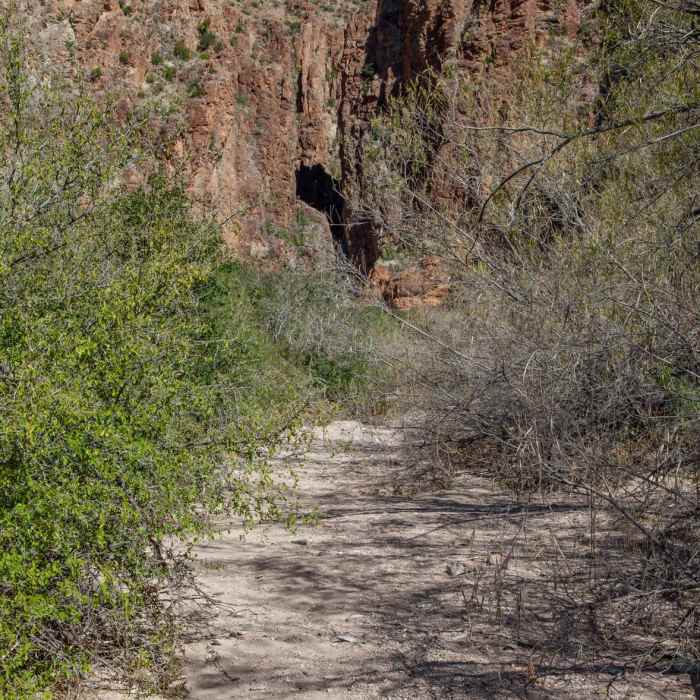 Near Lower Burro Pour-Off Trail
